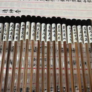 Chinese Incense Sticks Sampler Set, 18 Scents 54 Sticks, Natural Handmade Agarwood